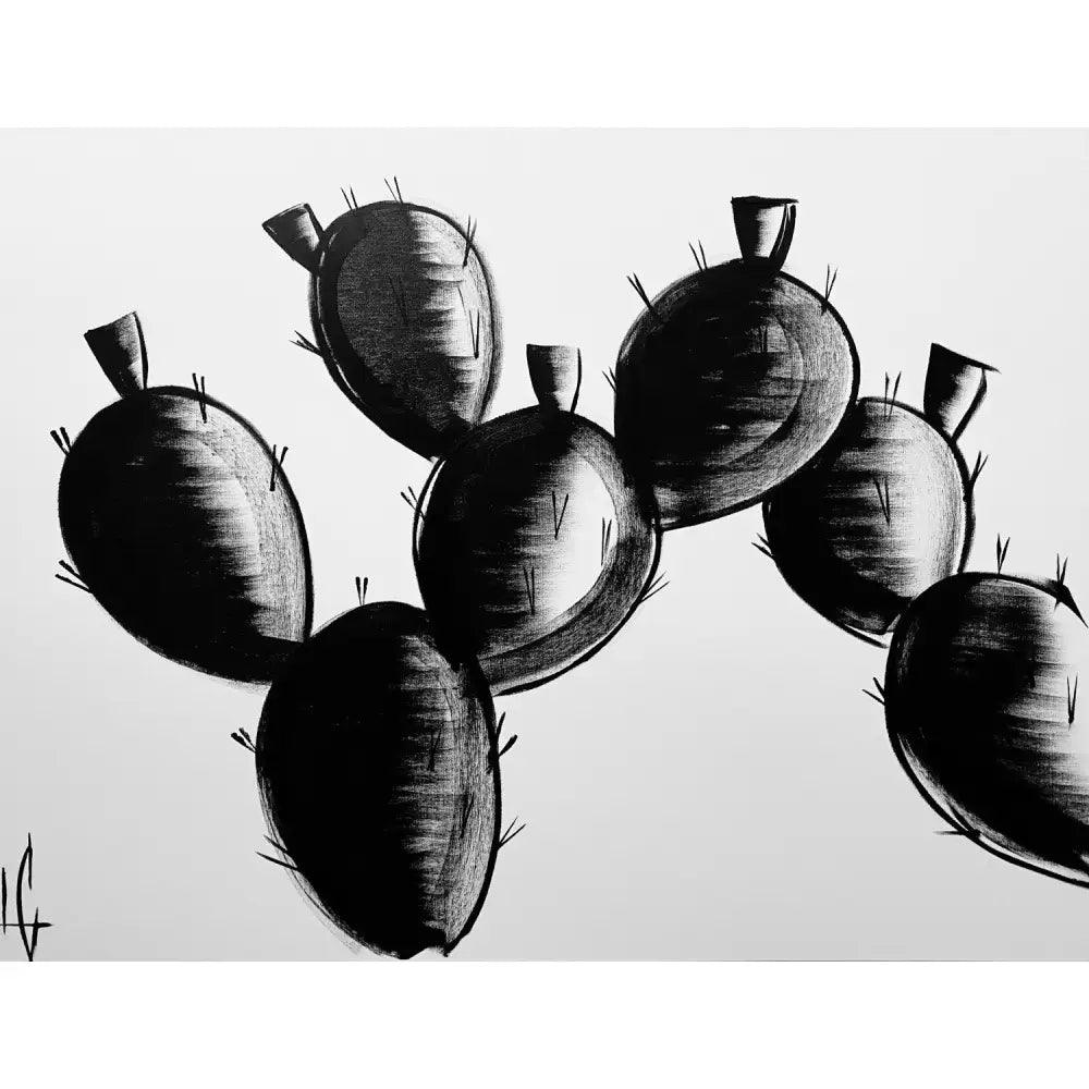 Cactus 12 - Large Collection