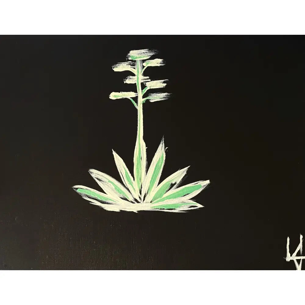 Ranch Agave Bloom - Available Collection