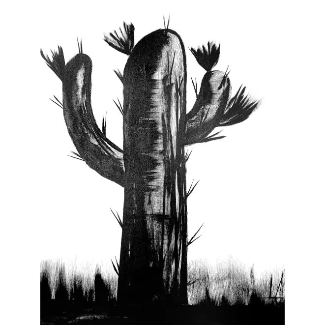 Trio Print Collection - Prints